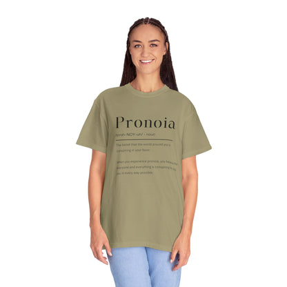 Pronoia Definition Shirt Fun Garment-Dyed T-shirt unisex