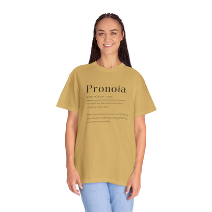 Pronoia Definition Shirt Fun Garment-Dyed T-shirt unisex