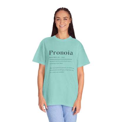 Pronoia Definition Shirt Fun Garment-Dyed T-shirt unisex