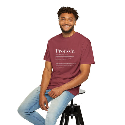 Pronoia Definition Shirt Fun Garment-Dyed T-shirt unisex