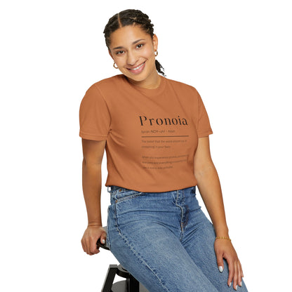 Pronoia Definition Shirt Fun Garment-Dyed T-shirt unisex