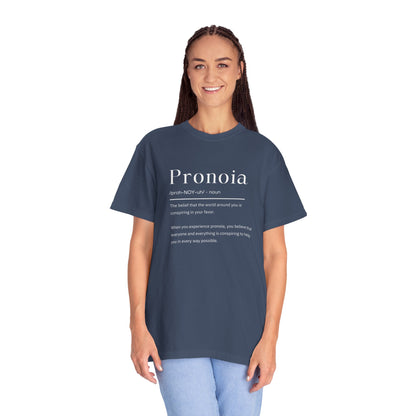 Pronoia Definition Shirt Fun Garment-Dyed T-shirt unisex