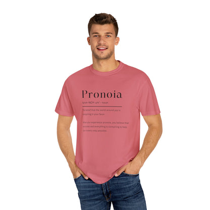 Pronoia Definition Shirt Fun Garment-Dyed T-shirt unisex