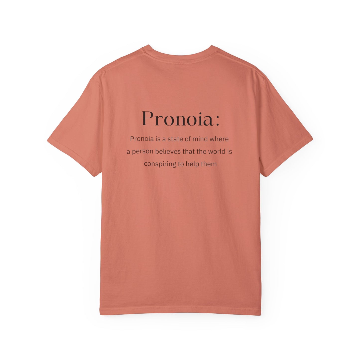 Pronoia Definition Shirt Fun Garment-Dyed T-shirt unisex