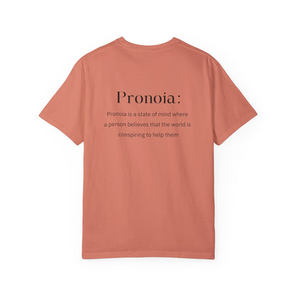 Pronoia Definition Shirt Fun Garment-Dyed T-shirt unisex