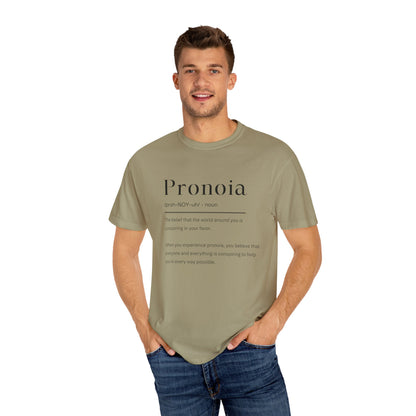 Pronoia Definition Shirt Fun Garment-Dyed T-shirt unisex