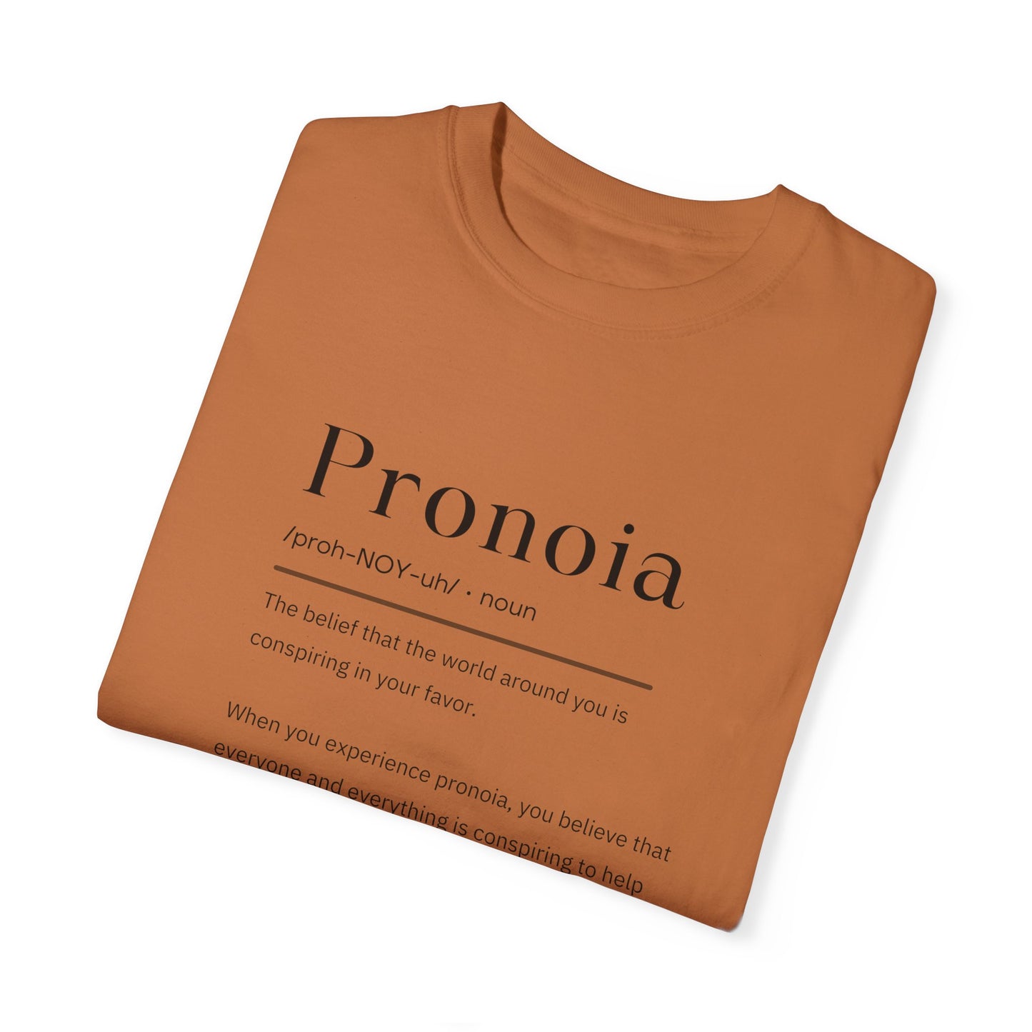 Pronoia Definition Shirt Fun Garment-Dyed T-shirt unisex