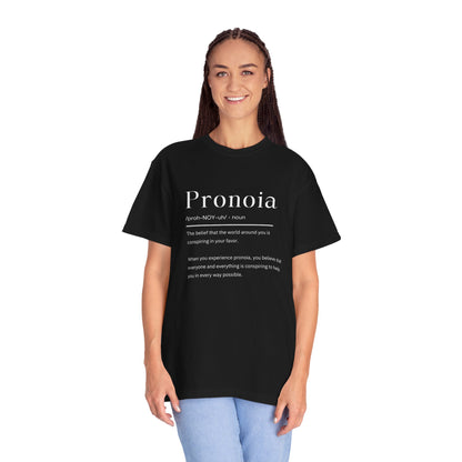 Pronoia Definition Shirt Fun Garment-Dyed T-shirt unisex