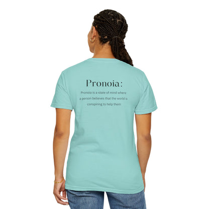 Pronoia Definition Shirt Fun Garment-Dyed T-shirt unisex