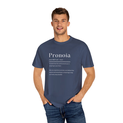 Pronoia Definition Shirt Fun Garment-Dyed T-shirt unisex