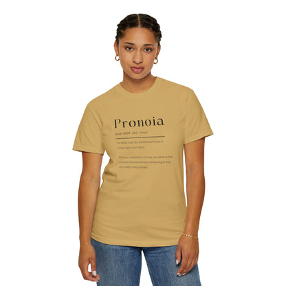 Pronoia Definition Shirt Fun Garment-Dyed T-shirt unisex