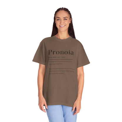 Pronoia Definition Shirt Fun Garment-Dyed T-shirt unisex