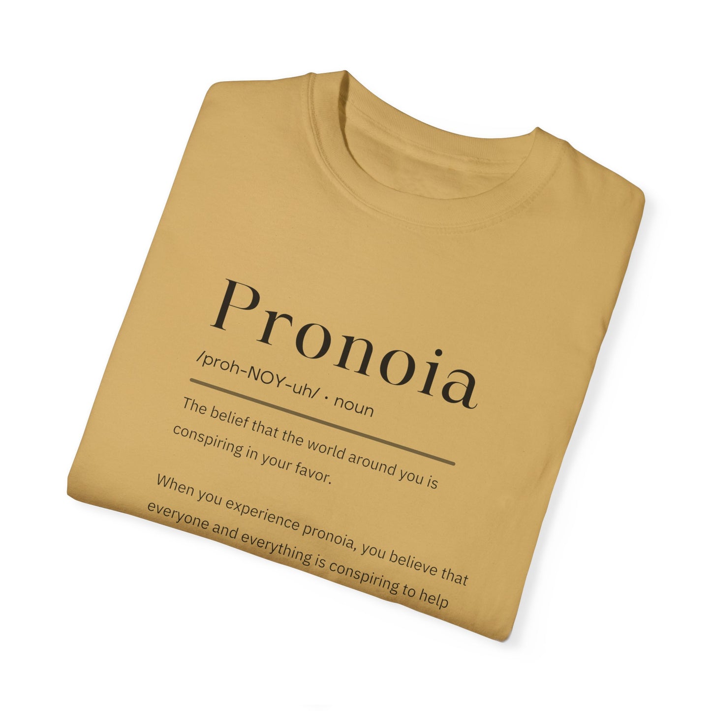 Pronoia Definition Shirt Fun Garment-Dyed T-shirt unisex