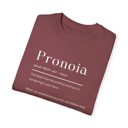 Pronoia Definition Shirt Fun Garment-Dyed T-shirt unisex