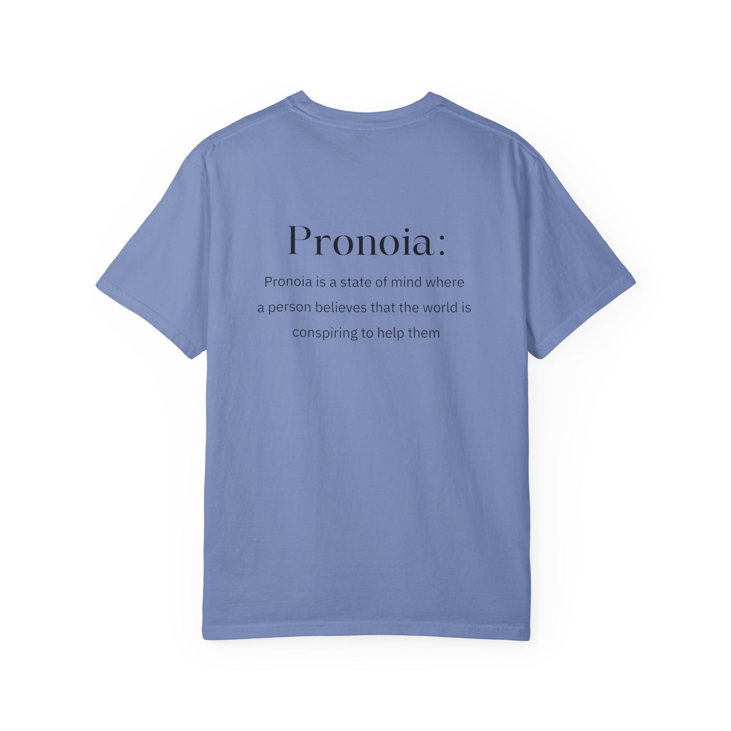 Pronoia Definition Shirt Fun Garment-Dyed T-shirt unisex