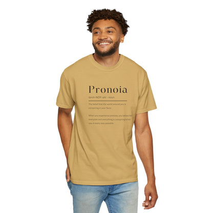 Pronoia Definition Shirt Fun Garment-Dyed T-shirt unisex