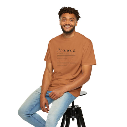 Pronoia Definition Shirt Fun Garment-Dyed T-shirt unisex