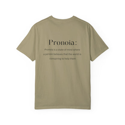 Pronoia Definition Shirt Fun Garment-Dyed T-shirt unisex