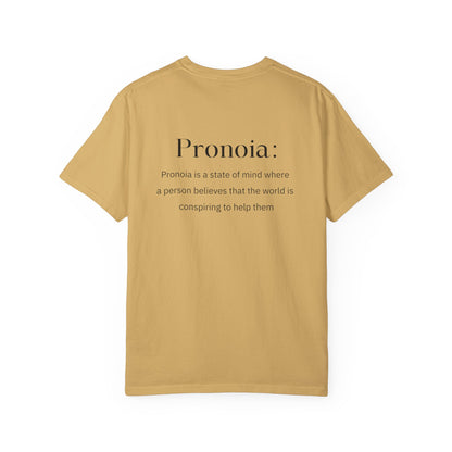 Pronoia Definition Shirt Fun Garment-Dyed T-shirt unisex